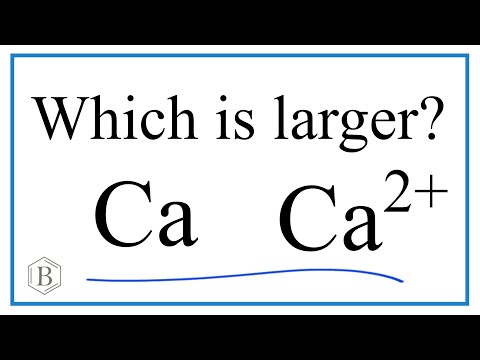 Does K+ or Ca2+ have a smaller radius?