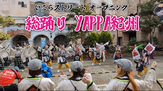 『第19回紀州よさこい祭り おどるんや マリーナシティ いこらストリート演舞場』オープニング YAPPA紀州