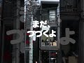 【東京へお出かけ　vol.4】（2024年6月） 旅行