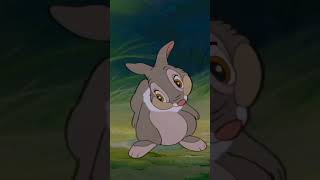 “If you can’t say something nice, don’t say nothing at all!” 🐰“Bambi”(1942) #bambi1942 #bambimovie