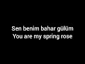 turkish song with subtitle helin hasretimsin