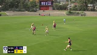 2024 VFL Round 6: Coburg v Richmond