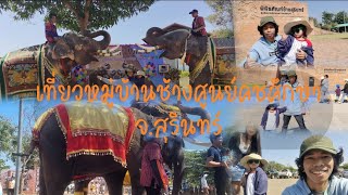 เที่ยวหมู่บ้านช้าง ศูนย์คชศึกษา พิพิธภัณฑ์ช้างสุนทร์ ชมการแสดงช้าง จ.สุรินทร์