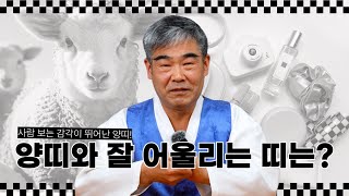 [대성TV📺] 양띠는 어떤 띠와 잘 맞을까?【경기광주 용한 무당 천명암 법사 정명환】