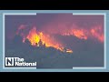 About 600 firefighters battle wildfire in Portuguese natural park