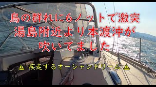 海を生活の場として、私もカモメ？（カツオ鳥・なぶら）も寒さに負けず頑張ってます。初めてGoProカメラを帽子に取り付けました･･カメラワークはこれから練習します。