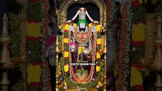 Sri Venkatesha Govinda కలియుగ ప్రత్యక్ష దేవుడు శ్రీ వెంకటేశ్వర స్వామి #srivenkateswara #venkateswara