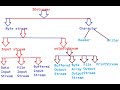 File Handling in Java| Java IoStreams