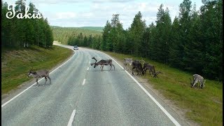 Arctic Circle - From Rovaniemi to Karasjok