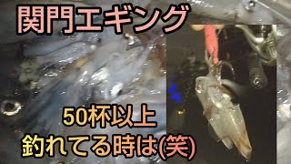 【エギング】烏賊50杯釣れてる時は(笑)。