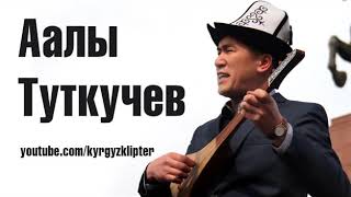 Аалы Туткучев Ким эле кыргыз, ким болду