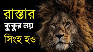 রাস্তার কুকুর নয় সিংহ হও || bangla best motivation || rupok motivation 💥