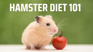 Best Hamster Food for a Healthy Diet