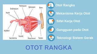 Sistem Gerak: Otot Rangka:  Otot, Mekanisme Kerja Otot, Sifat Kerja Otot, Gangguan pada Otot.