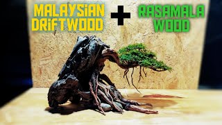 Bonsai Tree for Aquascape Ver. 2 || Hardscape Only||