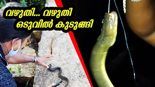 Kerala Eel Hunting | മനഞ്ഞിൽ പിടുത്തം