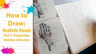 How to Draw: Realistic Hands (Part 1- Proportions, Skeleton, & Muscles)