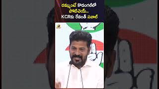 దమ్ముంటే కొడంగల్ లో పోటిచెయ్.. KCRకు రేవంత్ సవాల్ | #RevanthReddy | #CMKCR | #Shorts | Mango News