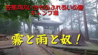 佐那河内いきものふれあいの里キャンプ場【霧と雨と奴！】パクチー好きにはたまらん臭い！！