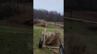 rolling out hay with hY roller at Isaac's Creek Farm - M.R.Angus LLC