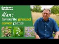5 ground cover plants I LOVE | Alan Titchmarsh