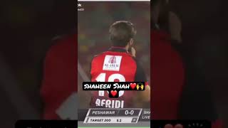 Shaheen Shah Shah afridi #hblpsl7 #pakistan #cricket #levelhai #shorts #hblpsl