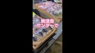 魚のお土産は焼津魚センターで♪