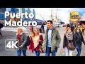 Puerto Madero Buenos Aires (4k Walking Tour)