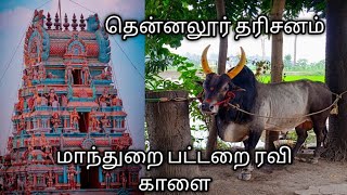 புளிக்குளம் காளையின் தோரனை என்னா ஒரு அழகு