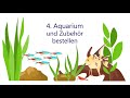 aquarium kaufen was beachten 5 tipps