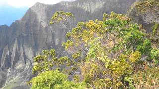 Exploring Hawaii 2 2011