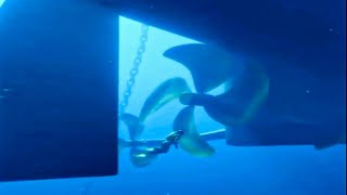NEAR DEATH EXPERIENCE Ship Propellers