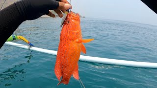 CANTIKNYA SI MERAH PENGHUNI KARANG‼️ULTRALIGHT SELAT BALI📍