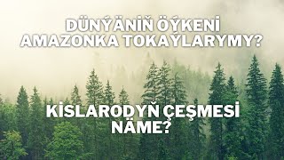 DÜNÝÄNİŇ ÖÝKENİ AMAZONKA TOKAÝLARYMY? KİSLARODYŇ ÇEŞMESİ NÄME?