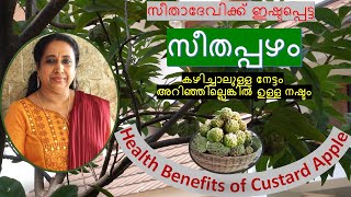 സീതാദേവിക്ക് ഇഷ്ടപ്പെട്ട സീതപ്പഴം (Custard Apple) - കഴിച്ചാലുള്ള നേട്ടം അറിഞ്ഞില്ലെങ്കിൽ ഉള്ള നഷ്ടം