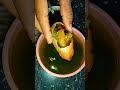 golgappe bahut mehnge ho gaye hai funnyshorts streetfood viral panipurilovers foodieslovefood