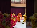 lion dance performance lionsdance cny2025 liondance2025