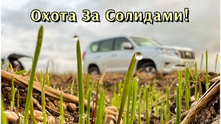 Вышли на охоту за Солидами! Коп по Восточной Пруссии!