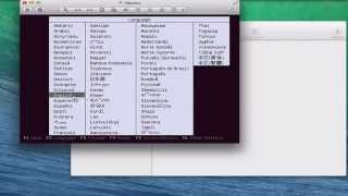 OpenStack: Install Ubuntu 12.04 for OpenStack on VMware Fusion