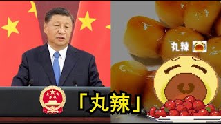 丸辣丸辣，最近百姓团结破纪录，获朝廷颁了足以丸辣的认证呢！