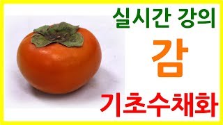 기초수채화 감 그리기 실시간 강의1