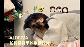 CECI│vlog#24 长段夏日的生活碎片 ｜ 甜甜日记宠物日记看展日记