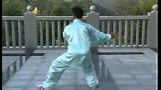 Zhang Zhijun Style Chenshi Taijiquan cannon fist erlu - 陈式太极拳新架二路 (张志俊)