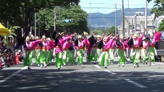 豊川おいでん祭（2017/5/27） らんラン東海「お宝らんラン」（ケヤキ会場）