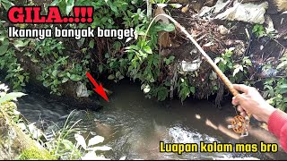 PANEN.!! GARA GARA KOLAM JEBOL || SELOKAN KECIL BANYAK IKANNYA