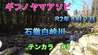 2020郡上渓流 　石徹白峠川リベンジ　テンカラ釣行＃9