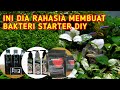 TUTORIAL CARA MEMBUAT BAKTERI STARTER DIY