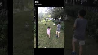 遛小孩親子趕鴨趣喂魚簡單生活簡單幸福