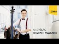 Nagyítás - Dominik Wagner