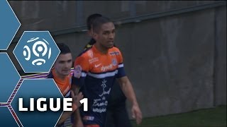 Goal Joris MARVEAUX (29') - Stade de Reims-Montpellier Hérault SC (2-4) - 01/02/14 - (SdR-MHSC)